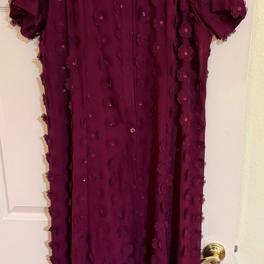 Anthropologie (Porridge) Deep Red Textured Long Sleeve Dress. Only worn once. - Picture 2 of 7
